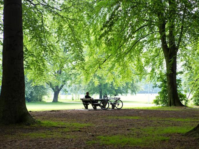 Alt-tekst for almindeligt billede på indholdsside med alle elementer